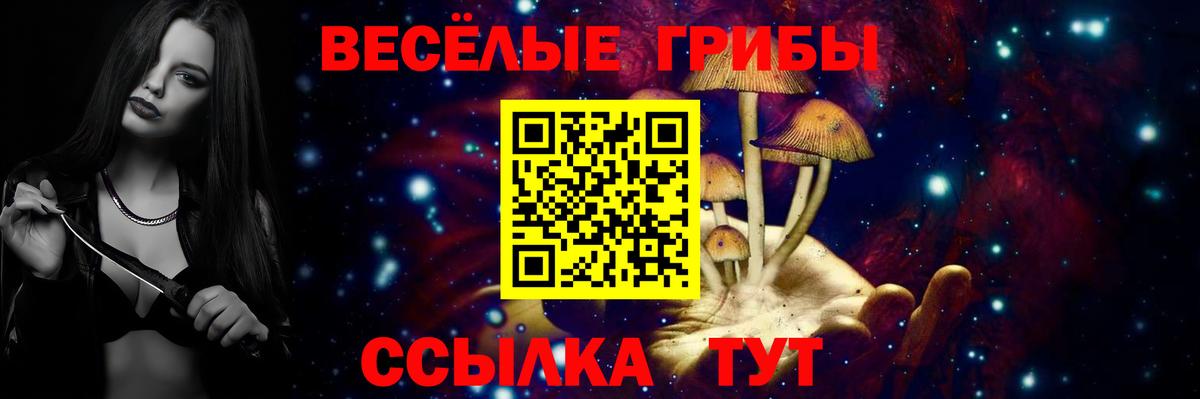 Псилоцибиновые грибы MAGIC MUSHROOMS  Вход с VPN  Ухта 